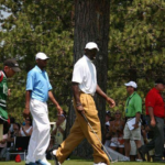 Tiger Woods and Michael Jordan on the golf course